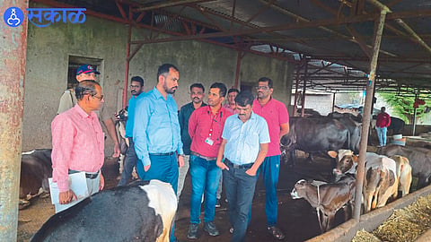 CEO Ankit and officers inspecting the animals infected with 'Lumpi'.
