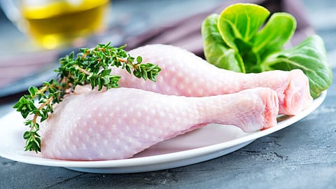 chicken 
