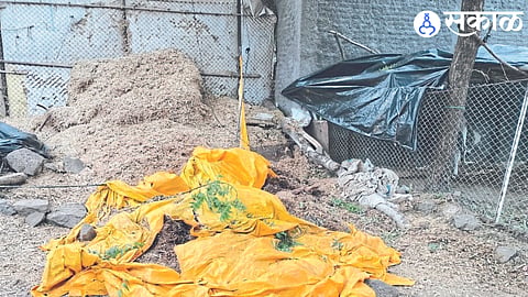 The body was found here
