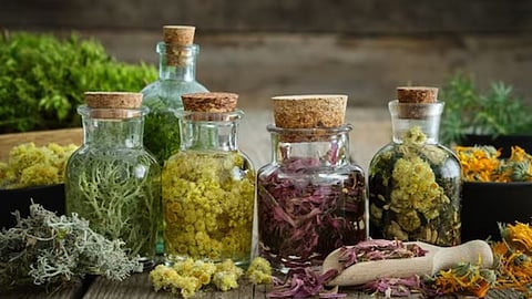 medicinal plants 