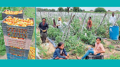 Farmer Baban Tupe