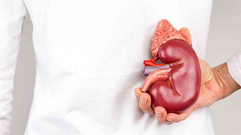 Kidney Health Tips