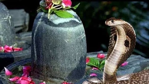 nag panchami rules