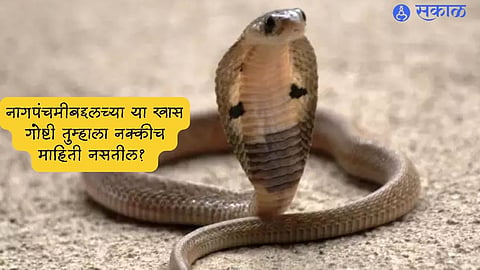Nag Panchami 2023