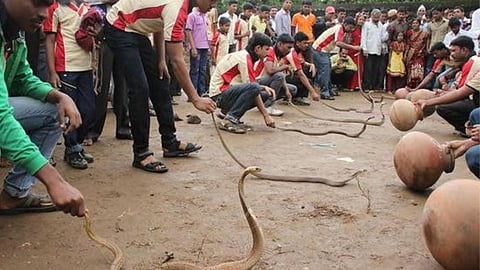 Shirala Nagpanchami