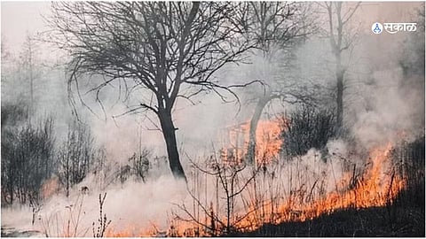 Hawaii Wildfire