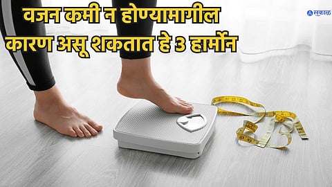 Fat Loss Tips