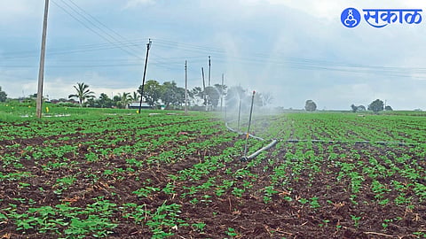 Water provided by frost irrigation to maize and soybeans which were found to be in short supply in various parts of the taluka.
