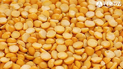 Turdal