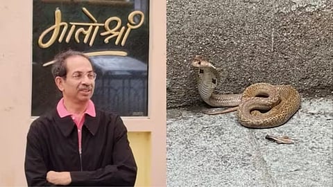Uddhav Thackrey