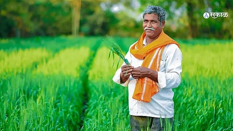 PM Kisan Samman Yojana