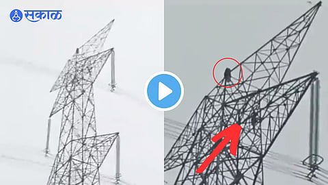 Video Viral