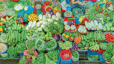 Vegetable