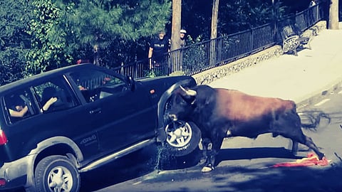 Car Insurance Tips