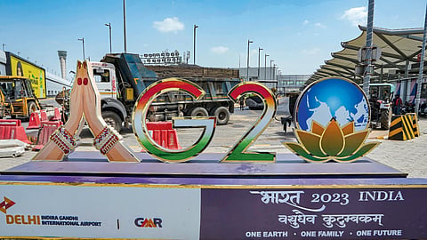 G20