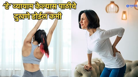Back Pain Exercise