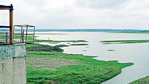 seena dam 