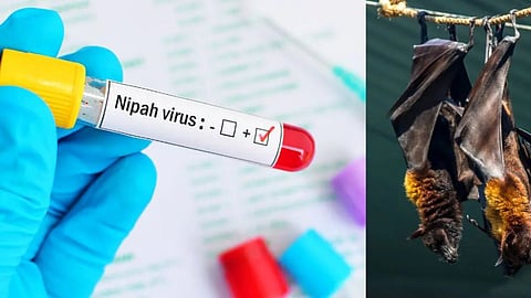 Nipah symptoms in laborers returning from Kerala treatment in West Bengal