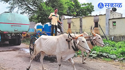Even today, people have to bring water for drinking on bullock carts from village to village