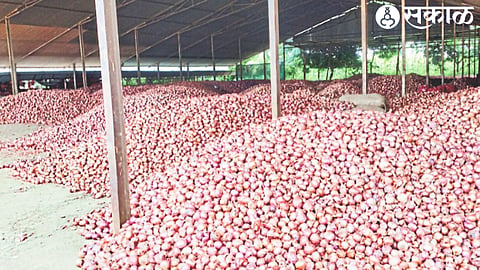 Inflow of onions to onion traders in Nampur