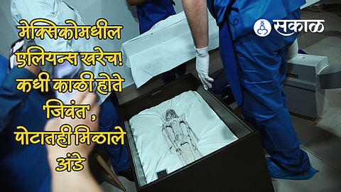 mexico alien bodies was alive says doctors after scanning  non human bodies eggs Found  