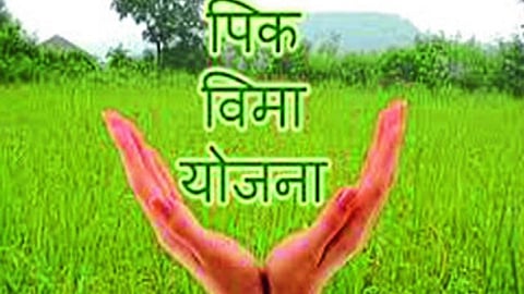 beed
