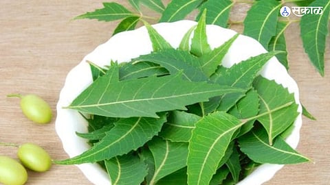 Neem Leaf Benefits 