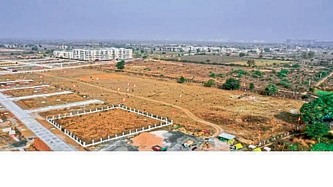 nagpur news 