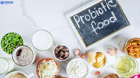 Probiotics Diet