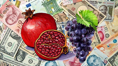 Tasgaon Farmers Grape Pomegranate Crops Foreign Currency
