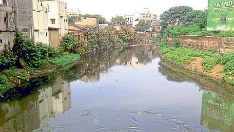 nagpur 
