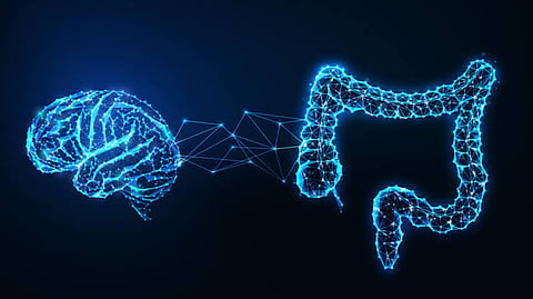 Stomach Is Human's Second Brain