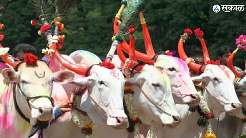Maharashtra Bendur 2023