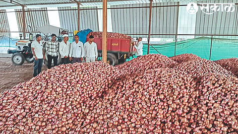Onion purchased by Noodle Farmers Company of Nafed at low price on Thursday.