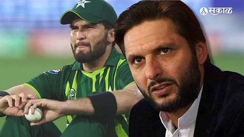 Shahid Afridi Shaheen Afridi 