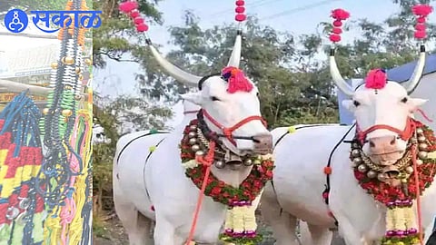 nagpur 