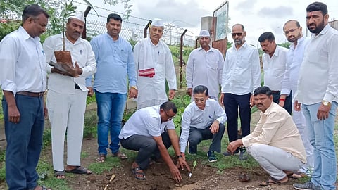 Deorai herbal plant planting in satara gondawale initiative by Pune lawyer son