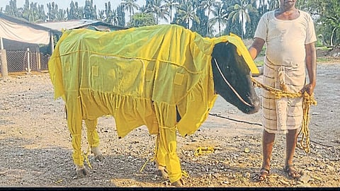 ppe kit animal 