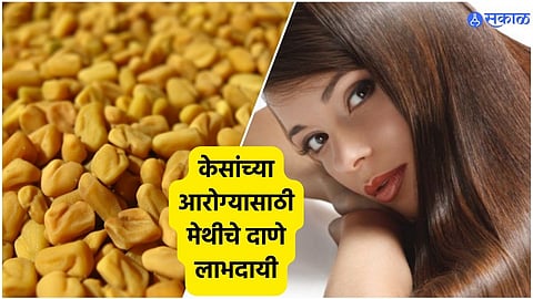 Fenugreek Seeds