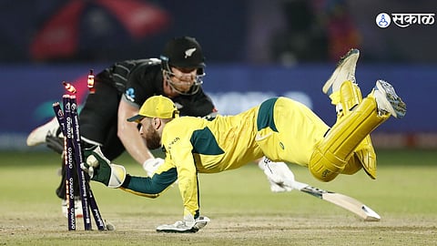 AUS vs NZ 
