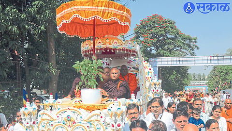 Plantation of historical Mahabodhi tree in Buddha memorial area nashik news