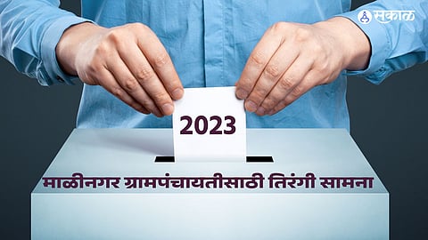 Malinagar Gram Panchayat Elections voting on nov 5 solapur politics election