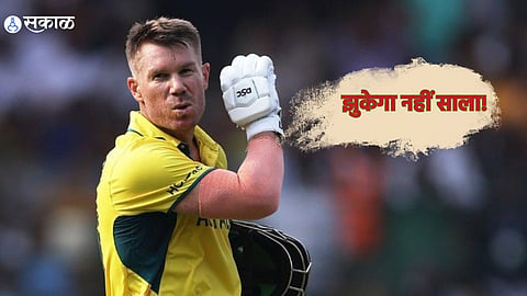 David Warner 