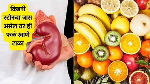 fruits 
