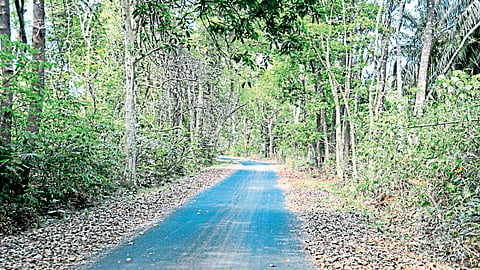 making roads through the mountains in the Western Ghats kolhapur pollution 