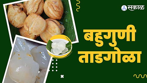 फायदे ताडगोळ्याचे