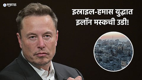 Elon Musk Gaza Stripe