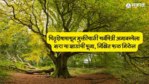 Sarva Pitru Amavasya 2023