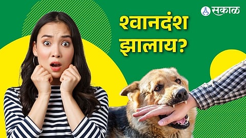 Dog Bite नंतरची काळजी