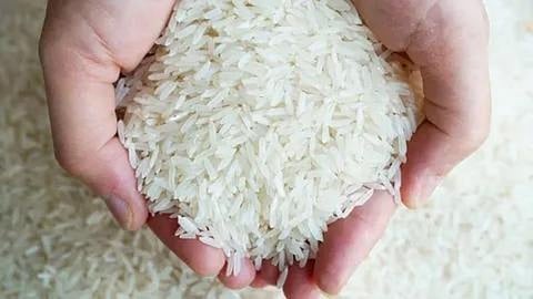rice